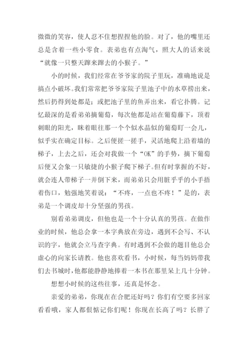 遥远的怀念作文.docx
