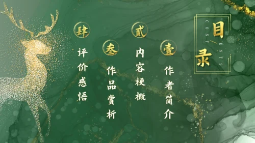 《房思琪的初恋乐园》神鹿读书分享通用PPT