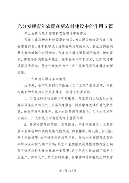 充分发挥青年农民在新农村建设中的作用5篇 (2).docx