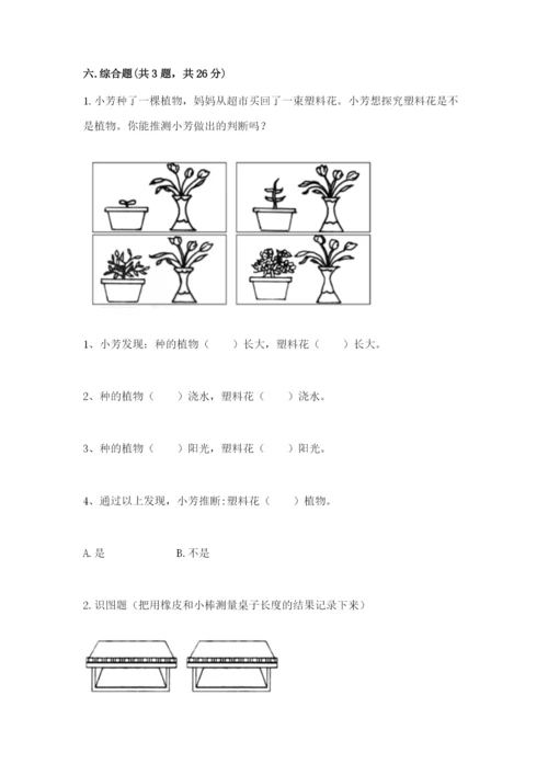 教科版一年级上册科学期末测试卷及答案【夺冠】.docx