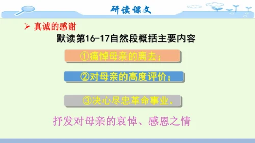 14《回忆我的母亲》-七年级语文上册同步优质课件（统编版）