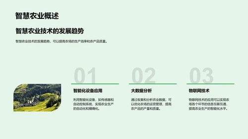 述职报告：智慧农业实践