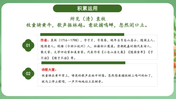 统编版2024三年级语文上册第一单元复习   课件