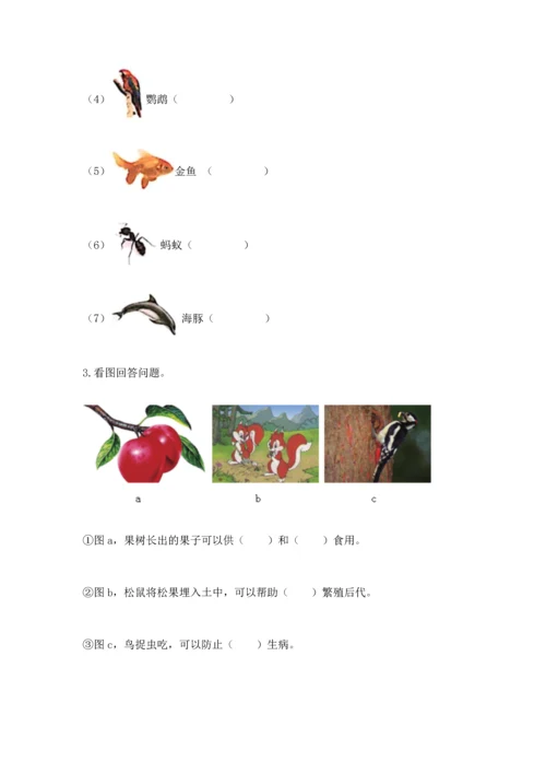教科版科学二年级上册《期末测试卷》精品【必刷】.docx