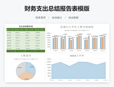 财务支出总结报告表模版