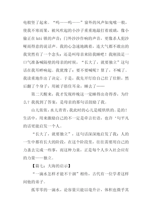 什么的启示作文800字.docx