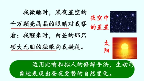 4 花之歌（课件）
