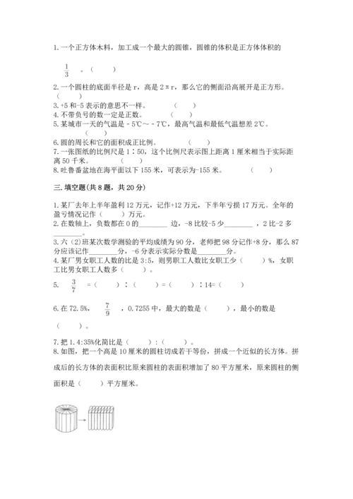 小升初数学期末测试卷（夺冠系列）.docx