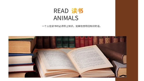 简约枫叶读书分享会阅读分享读书心得教育培训课件ppt模板
