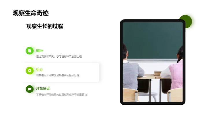 探索植物的奥秘