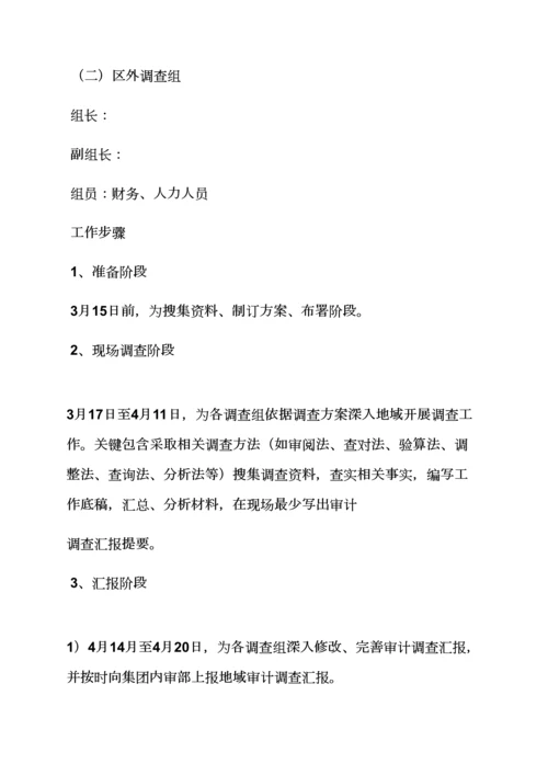 活动专项方案之薪酬审计工作专项方案.docx