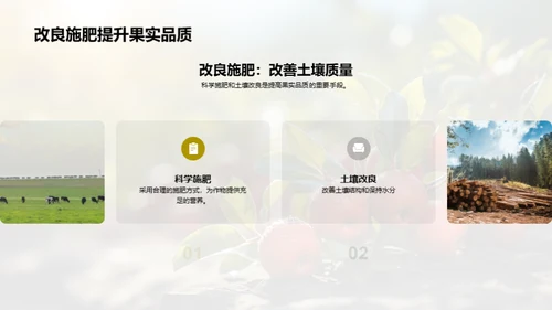 果园盈利增长策略