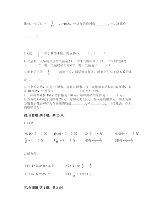 安阳市小升初数学测试卷含答案.docx
