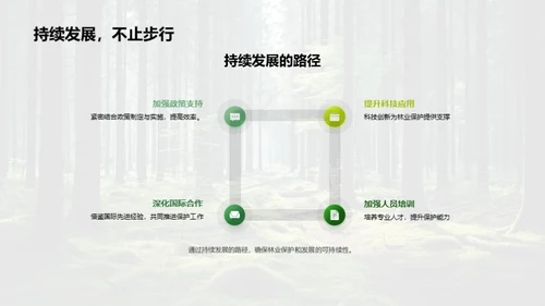 森林保护成就与前瞻