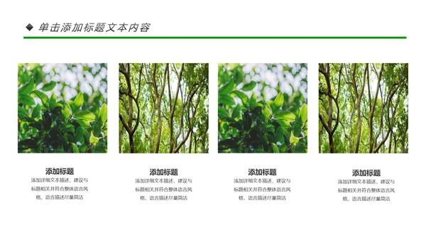 绿色环保森林生态文明建设森林日环保PPT模板