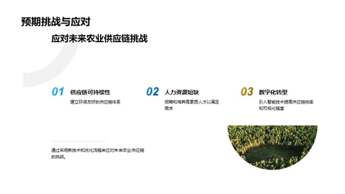 农业供应链全面回顾