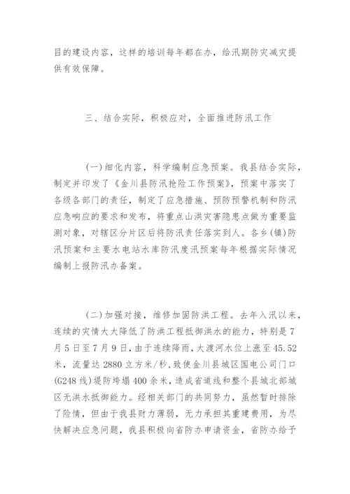 防汛工作情况汇报.docx