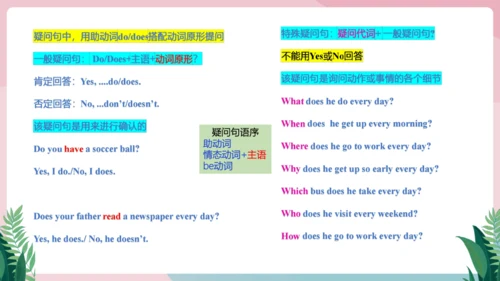 Unit 2 We're Family!单元知识复习课件【2024年人教版七年级英语上册】