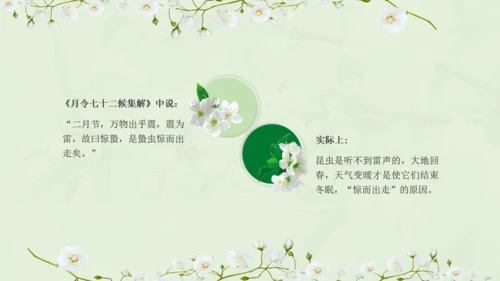 惊蛰淡绿色二十四节气实践教学课件通用PPT模板