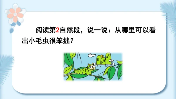 22.小毛虫（第二课时）教学课件
