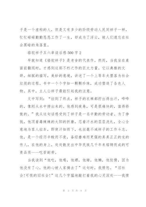 骆驼祥子小说五六章读后感500字5篇.docx