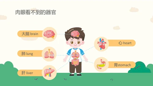 蓝色卡通幼儿园课件身体器官知多少幼儿园医学科普PPT模板