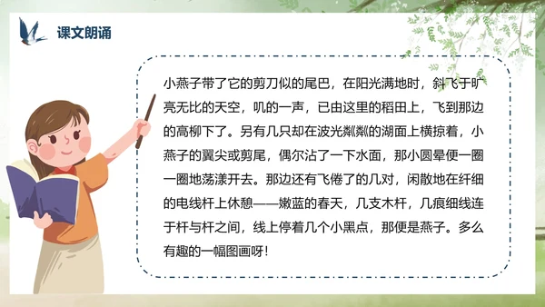 部编版三年级下册《燕子》课件PPT模板