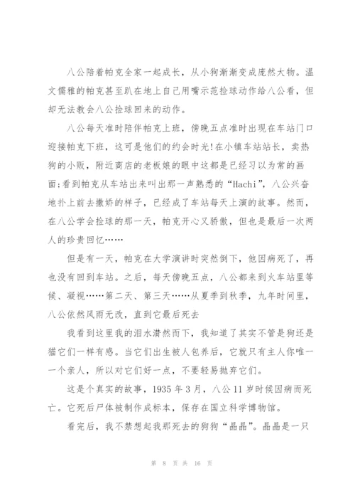 忠犬八公观影心得10篇.docx
