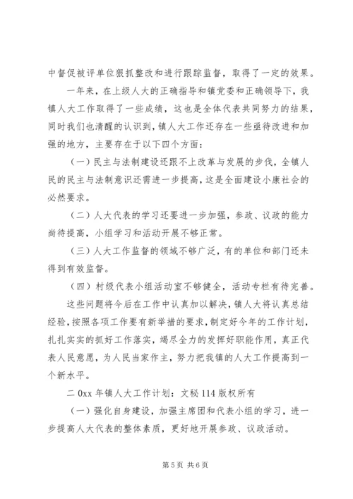 人大工作总结及镇人大工作计划.docx