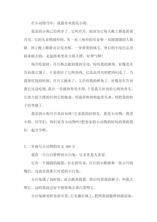 二年级写小动物的作文300字.docx