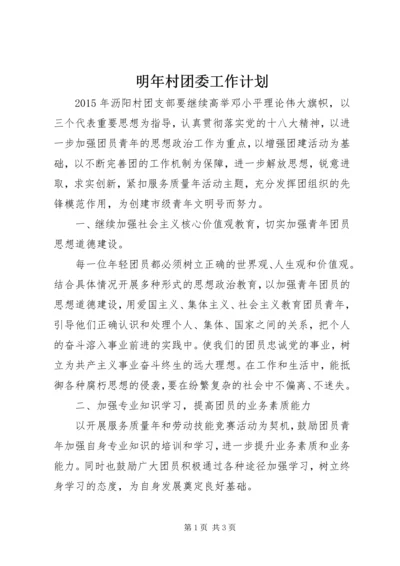 明年村团委工作计划.docx
