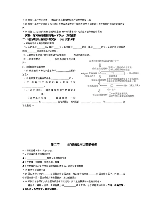 必修一生物基础知识归纳