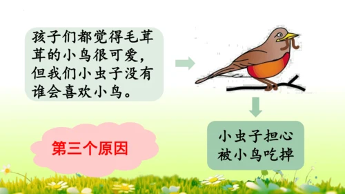 11.我是一只小虫子 课件