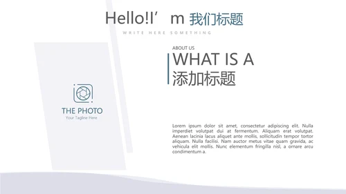 法律总结动态PPT