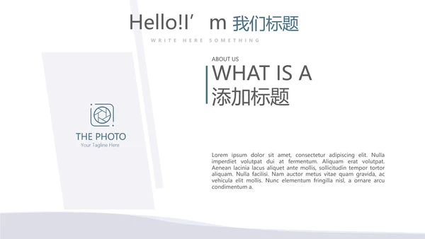 法律总结动态PPT