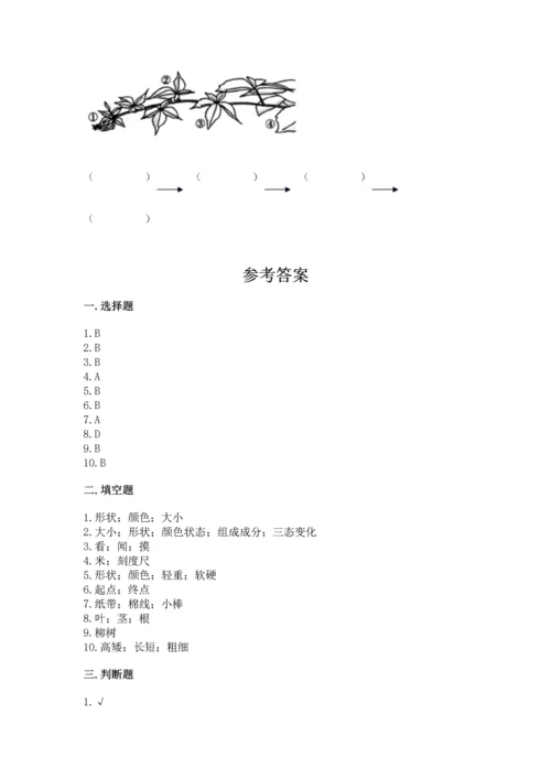 教科版小学一年级上册科学期末测试卷【典型题】.docx