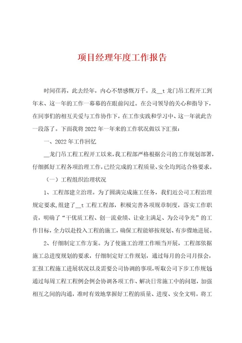 项目经理年度工作报告