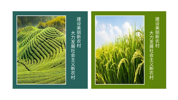 实拍笔刷风格美丽乡村农业介绍新时代农业农村现代化ppt模板