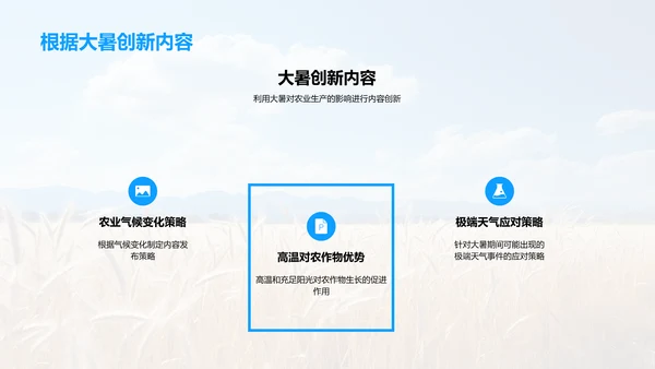 大暑农业生产