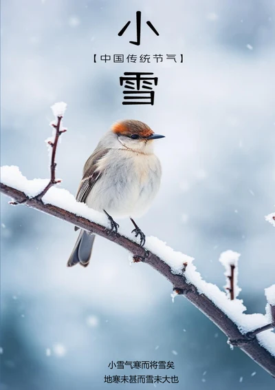 中国传统节气小雪海报