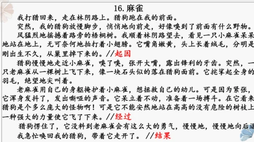 统编版五年级上册第五单元同步习作 ：生活万花筒   课件