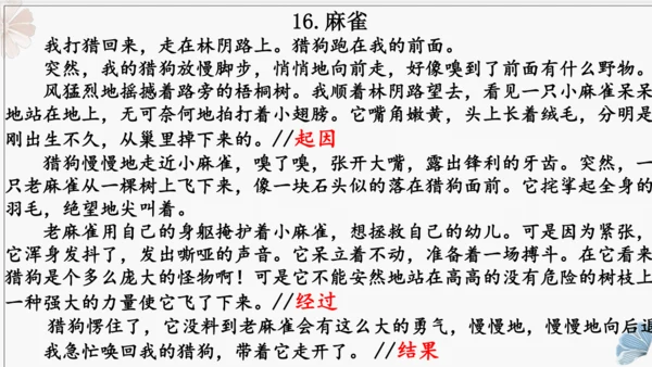 统编版五年级上册第五单元同步习作 ：生活万花筒   课件