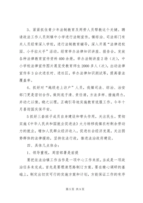 乡镇年度依法治理工作总结.docx