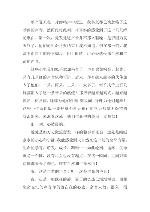 有这样一种声音作文600字.docx