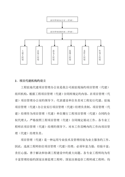 关键工程代建工作专题方案.docx