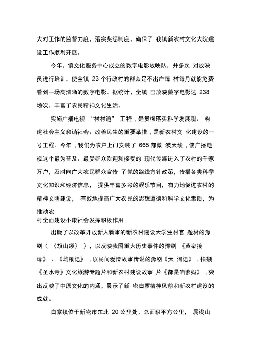 村文化员年终总结