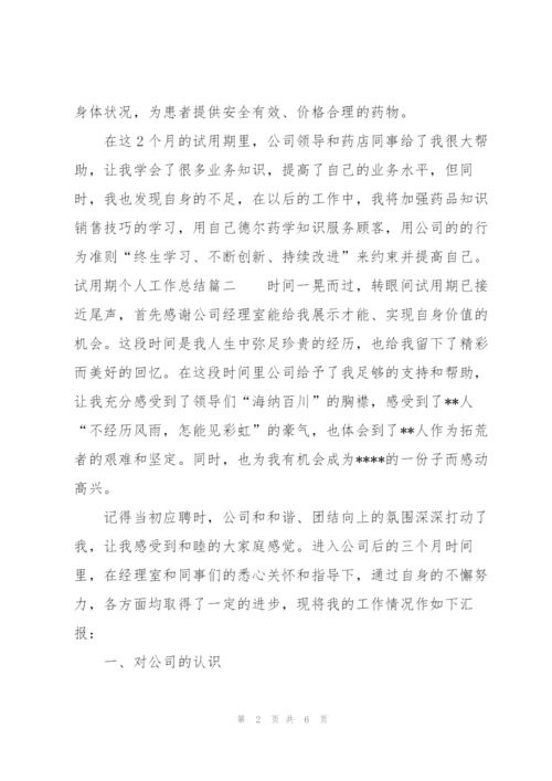 试用期个人工作总结优秀范文.docx