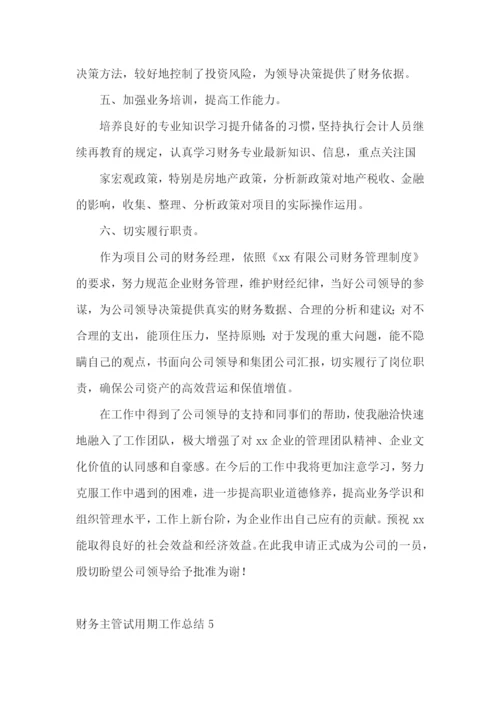财务主管试用期工作总结.docx