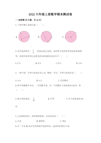 2022六年级上册数学期末测试卷附完整答案【有一套】.docx