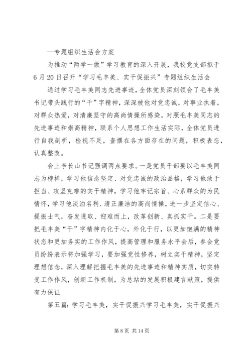 学习毛丰美实干促振兴专题研讨发言提纲.docx